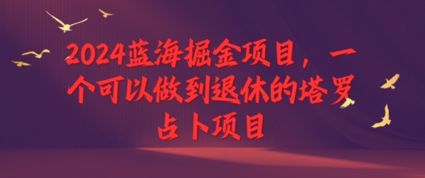 2024蓝海掘金项目,一个可以做到退休的塔罗占卜项目网赚项目-副业赚钱-互联网创业-资源整合小白项目资源网